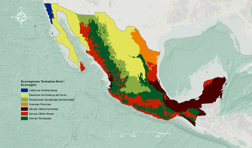 Mapa de las ecorregiones terrestres de México, nivel I: California Mediterránea, Desiertos de América del Norte, Elevaciones Semiáridas Meridionales, Grandes Planicies, Selvas Cálido-Húmedas, Selvas Cálido-Secas y Sierras Templadas